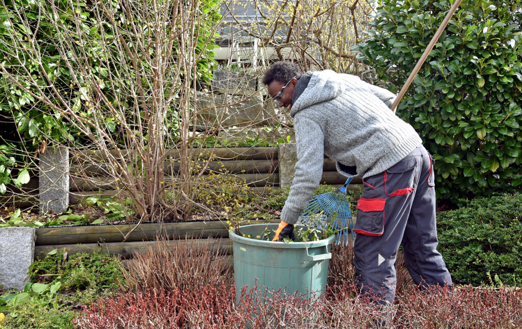Mitarbeiter des Läbesruums füllt Schnittgut in eine Tonne.