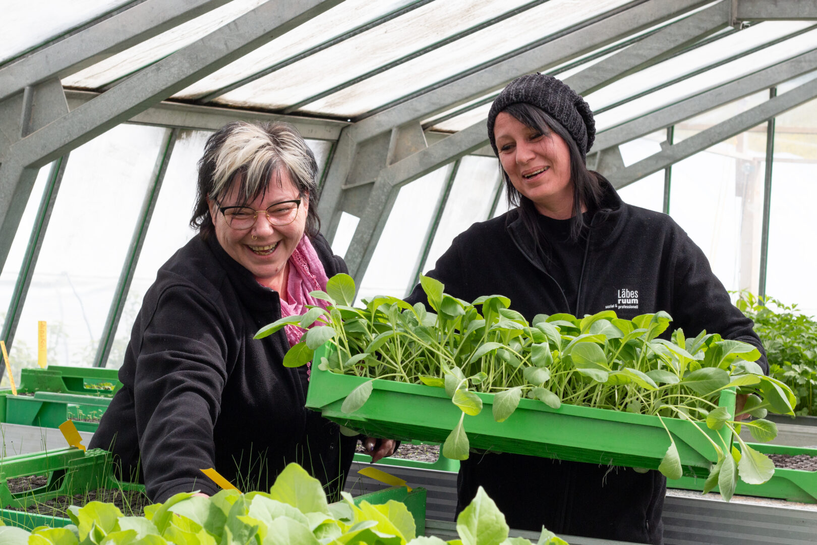 Zwei Mitarbeiterinnen des Läbesruums kümmern sich um Pflanzensetzlinge.