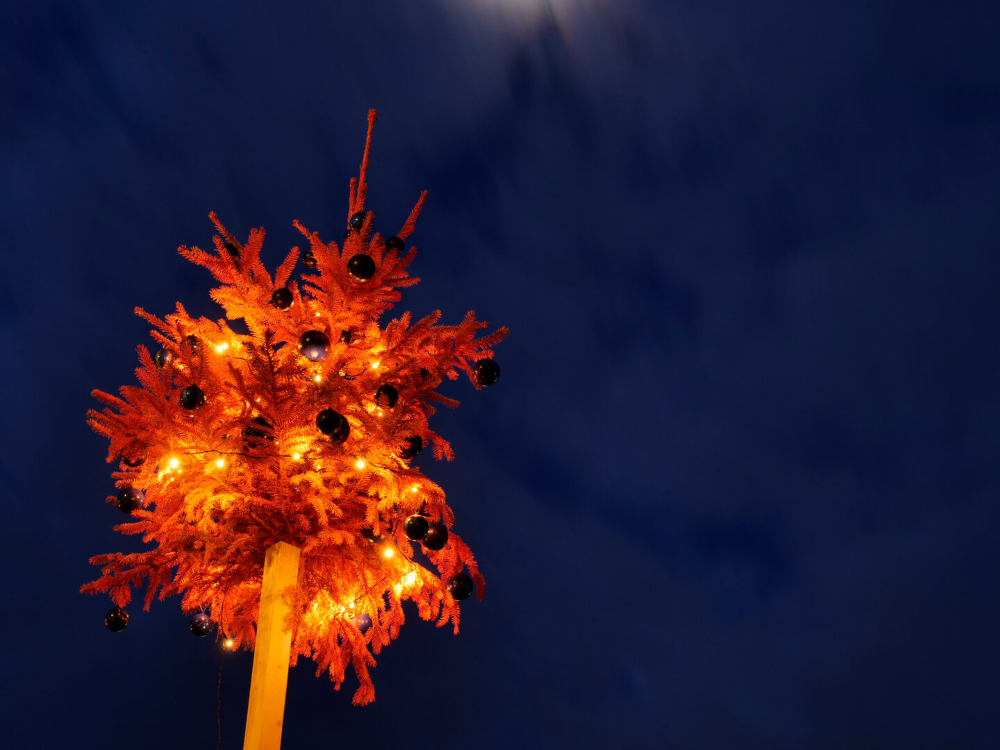 Weihnachtsbaumverkauf des Läbesruums