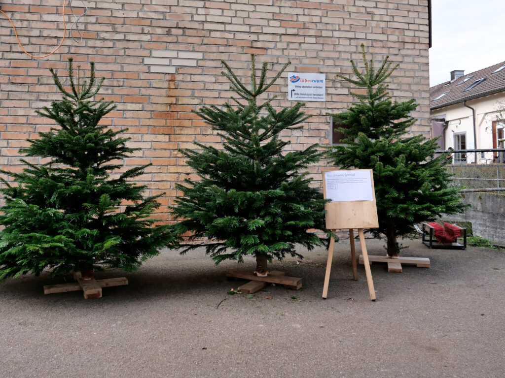Weihnachtsbaumverkauf des Läbesruums.
