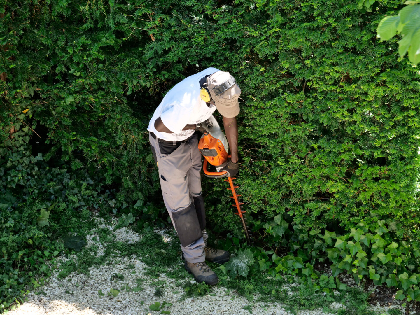 Ein Mitarbeiter des Läbesruums schneidet eine Hecke.