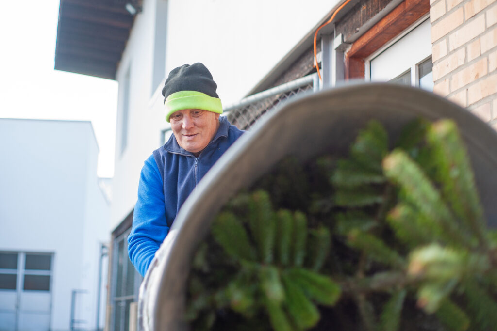 Ein Mitarbeiter des Läbesruums verpackt einen Weihnachtsbaum.