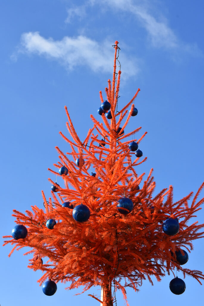 Der orange Weihnachtsbaum des Läbesruums.