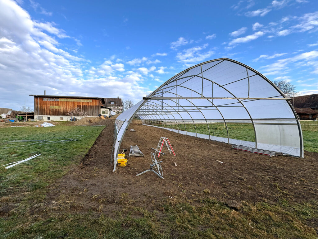 Der neue Gemüsetunnel für das Gemüseabo vom Läbesruum.