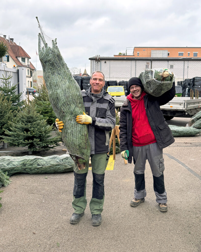 Zwei Mitarbeitende des Läbesruums mit zwei verpackten Weihnachtsbäumen.