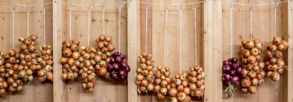 Zwiebeln trocknen an einer Holzwand für das Gemüseabo des Läbesruums.
