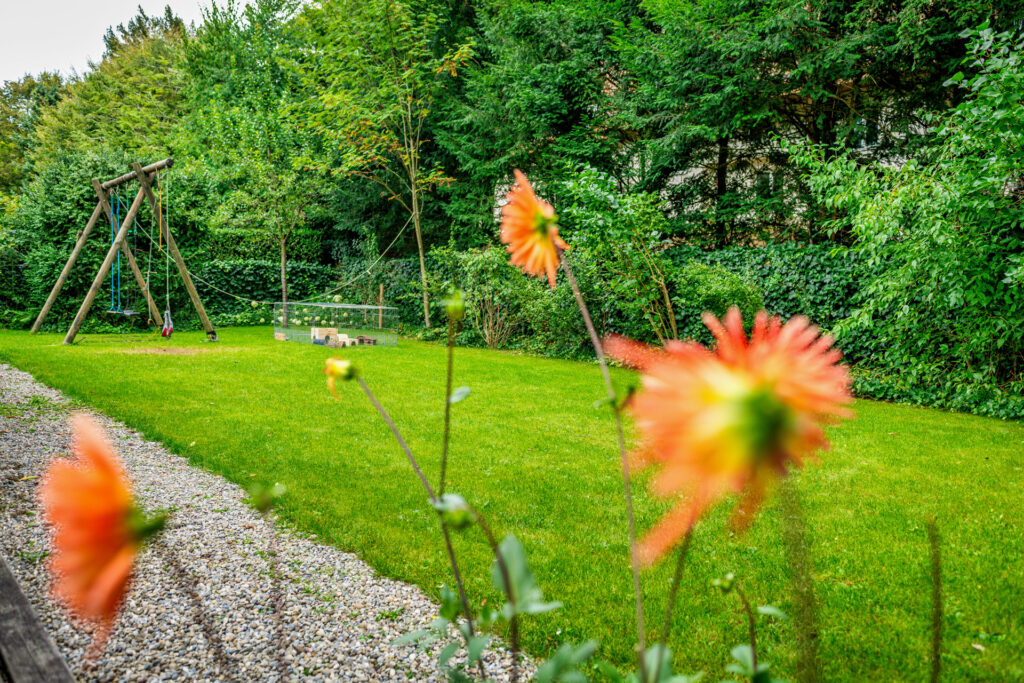 Grüner Rasen mit Schaukel und Blumen vom Läbesruum.