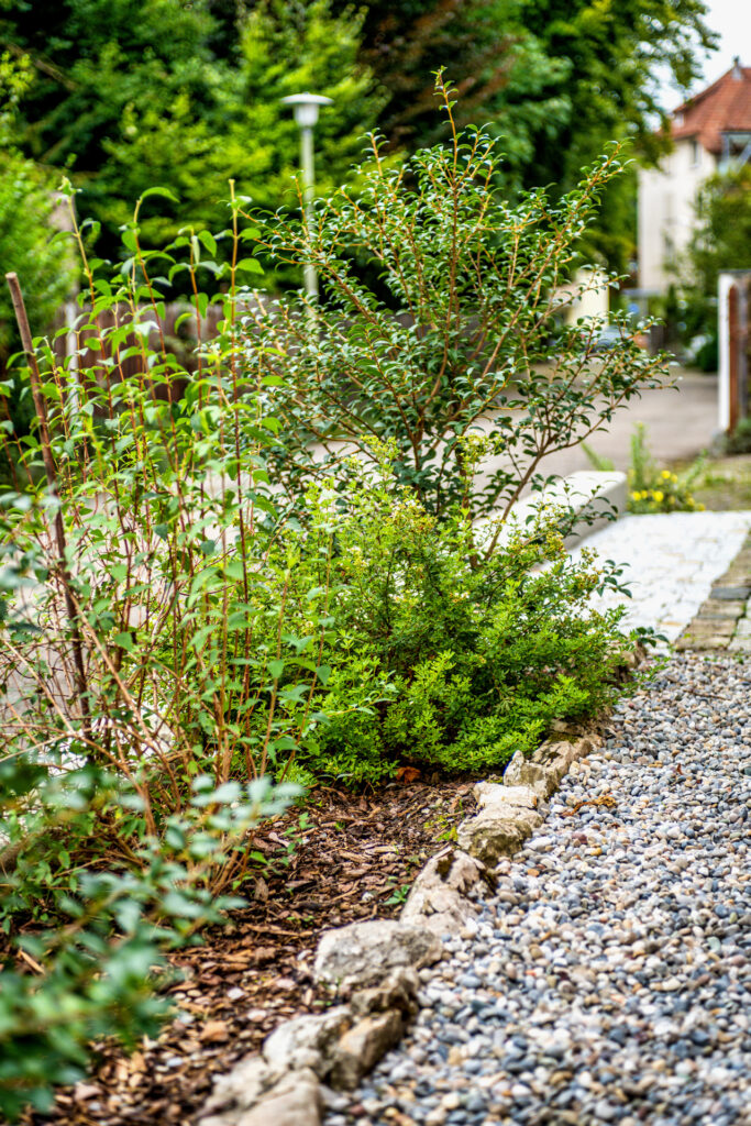 Rabatten vom Läbesruum.