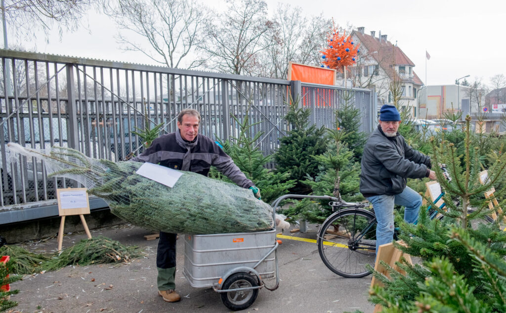 Ein Mitarbeiter des Läbesruums verpackt einen Weihnachtsbaum.